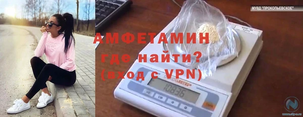 ГАЛЛЮЦИНОГЕННЫЕ ГРИБЫ Краснослободск