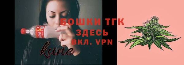 ГАЛЛЮЦИНОГЕННЫЕ ГРИБЫ Краснослободск