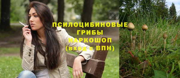 ГАЛЛЮЦИНОГЕННЫЕ ГРИБЫ Краснослободск