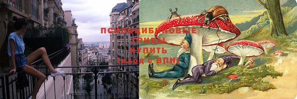 ПСИЛОЦИБИНОВЫЕ ГРИБЫ Красноперекопск