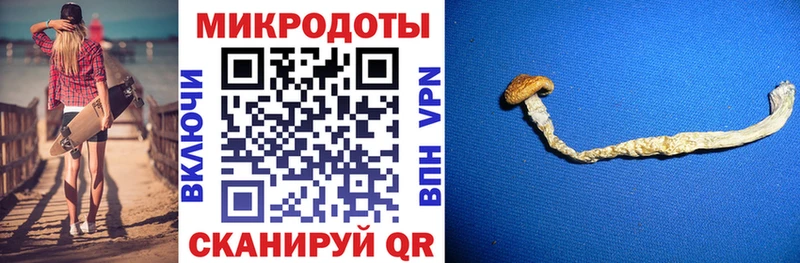 Псилоцибиновые грибы Magic Shrooms  Купить закладки  Баймак 